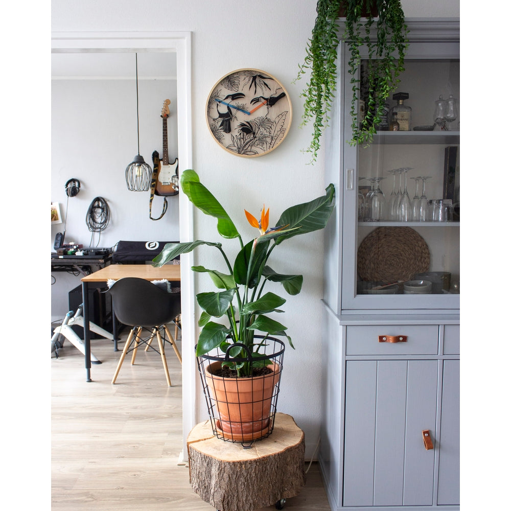 Tropical birds Wall Clock 40cm
